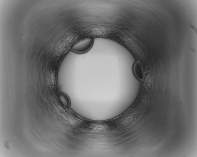 X0000100360597200806201606