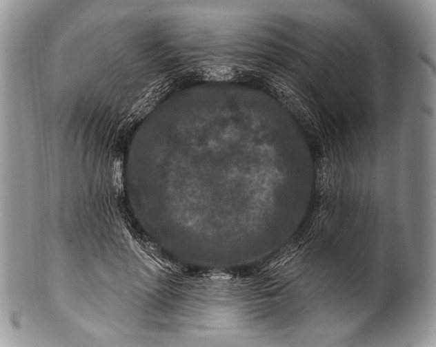 X0000100360598200806201606