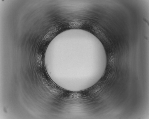 X0000100360599200806201606