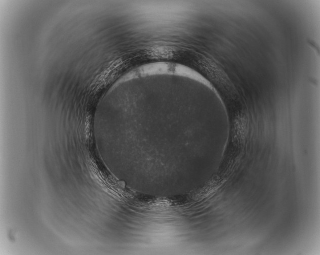 X0000100360600200806201606