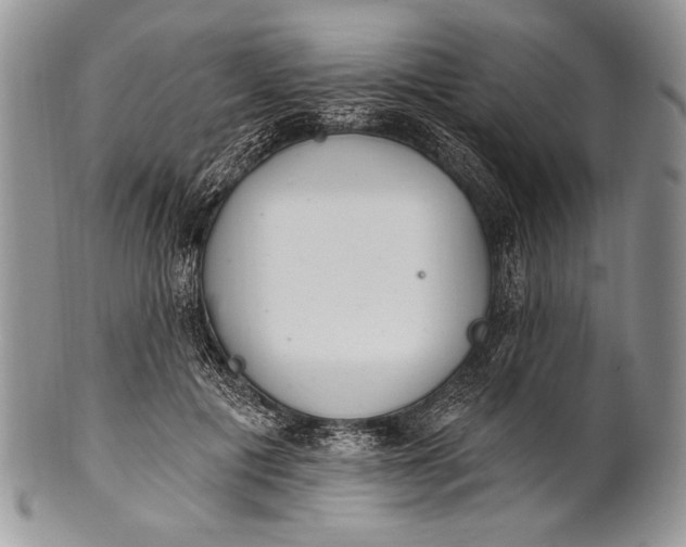 X0000100360601200806201606