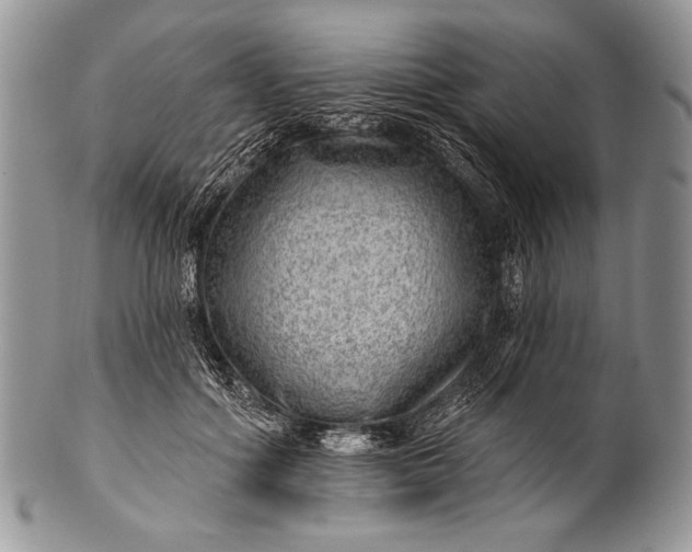 X0000100360602200806201606