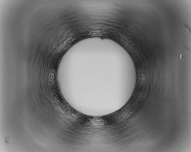 X0000100360603200806201606