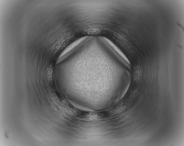 X0000100360604200806201606