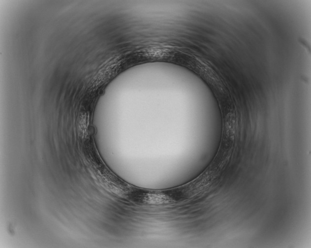 X0000100360605200806201606