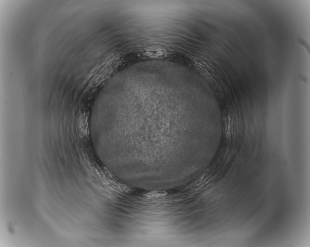 X0000100360606200806201606