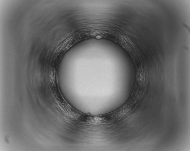 X0000100360607200806201606