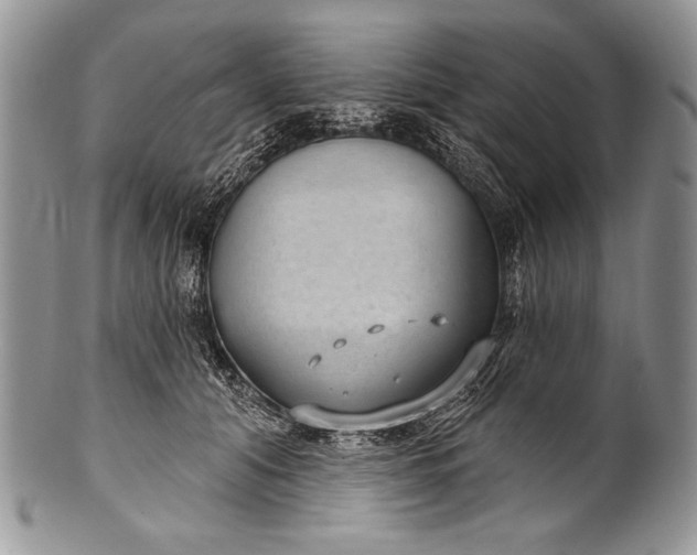 X0000100360608200806201606