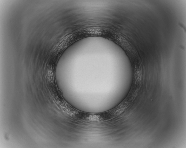 X0000100360609200806201606