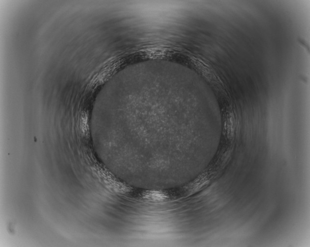 X0000100360610200806201606