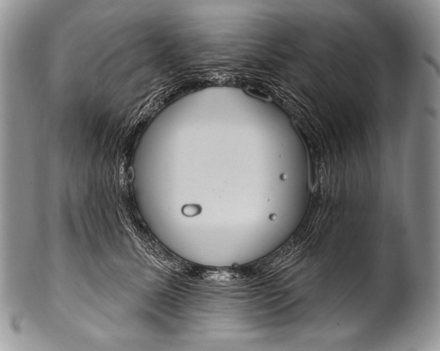 X0000100360611200806201606