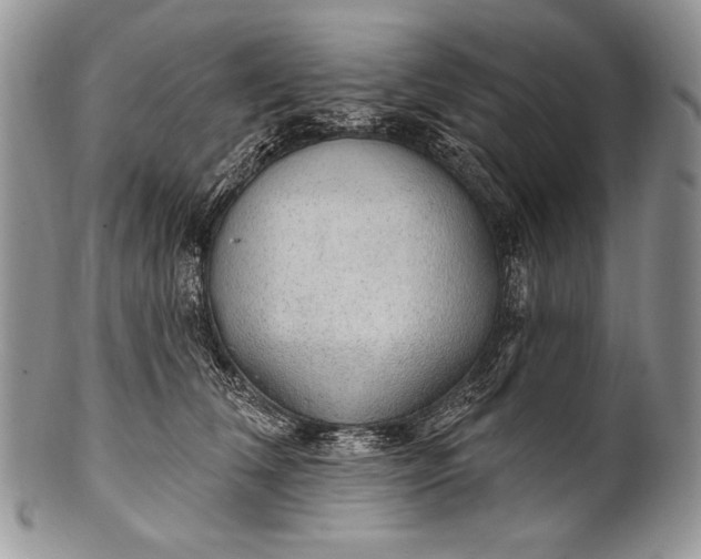 X0000100360612200806201606