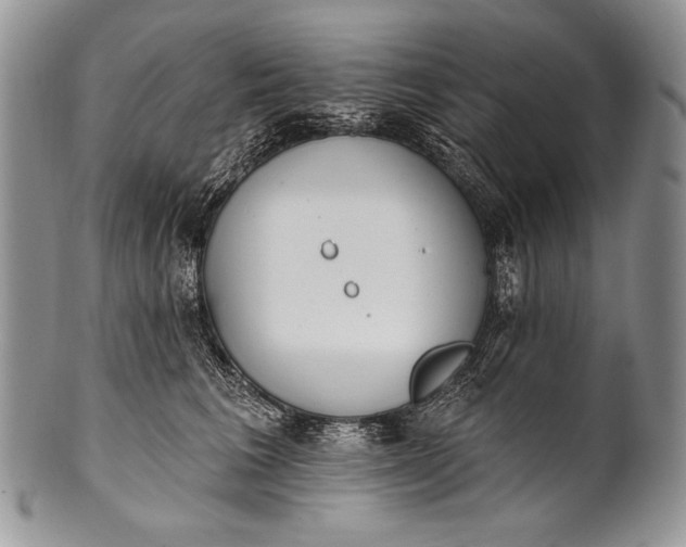 X0000100360613200806201606