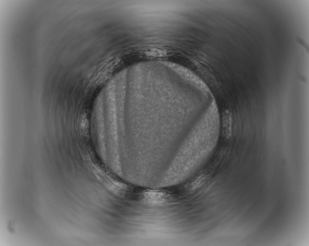 X0000100360614200806201606