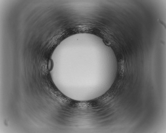 X0000100360615200806201606