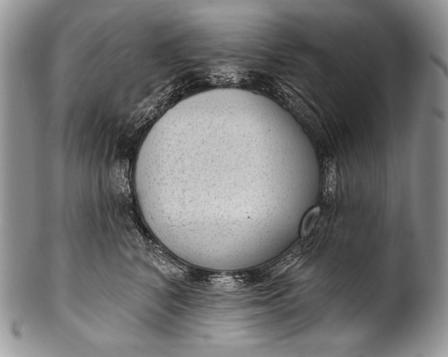 X0000100360616200806201606