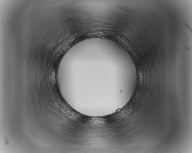 X0000100360617200806201606