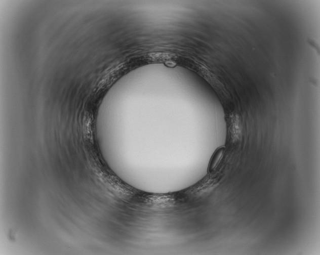 X0000100360619200806201606