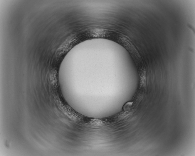 X0000100360620200806201606