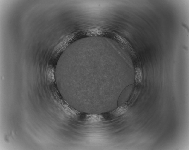 X0000100360621200806201606