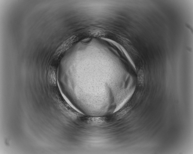 X0000100360622200806201606