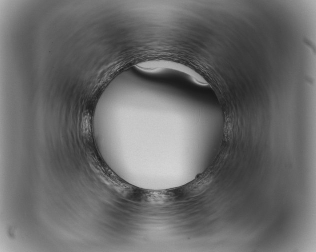 X0000100360623200806201606