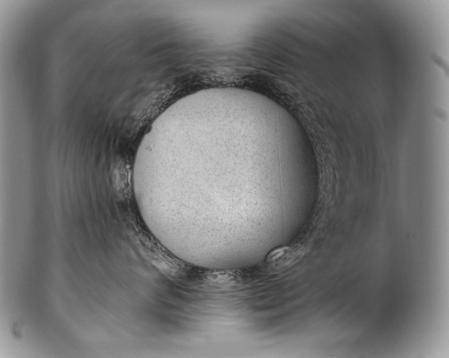 X0000100360624200806201606