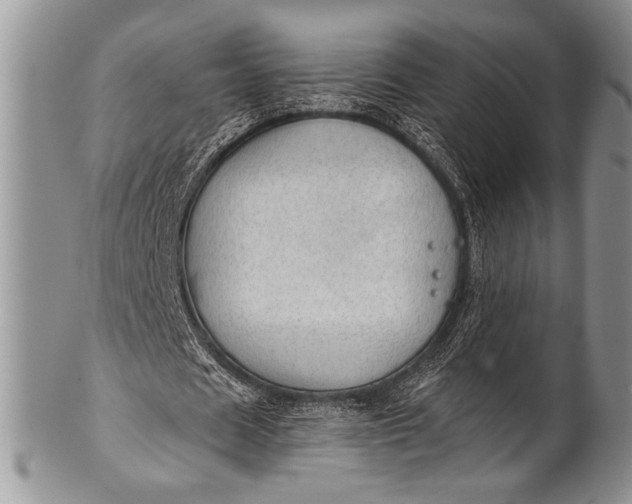 X0000100360625200806201605