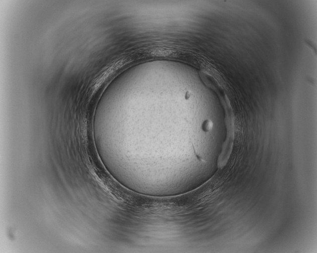 X0000100360626200806201605