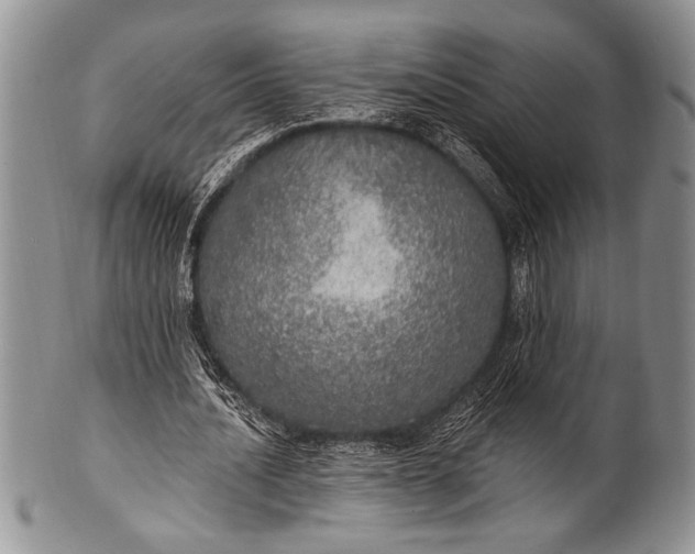 X0000100360628200806201605