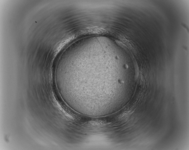 X0000100360630200806201605