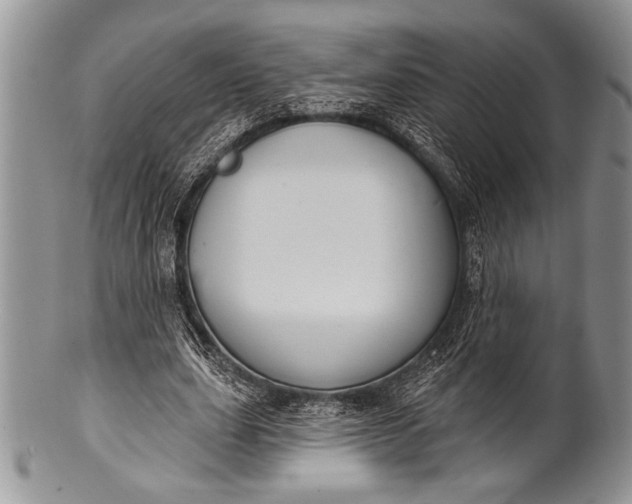 X0000100360631200806201605