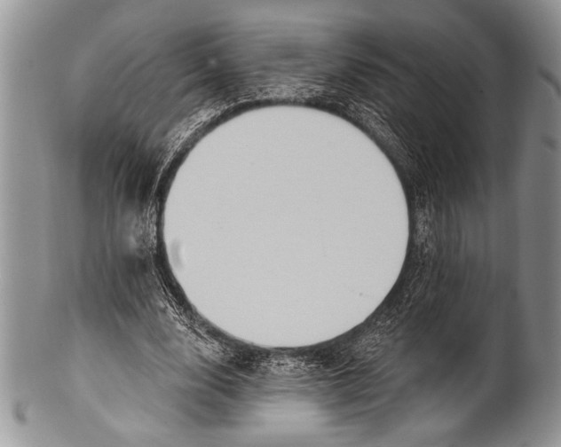 X0000100360632200806201605