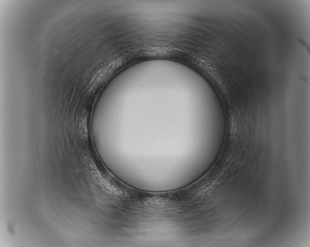 X0000100360633200806201605