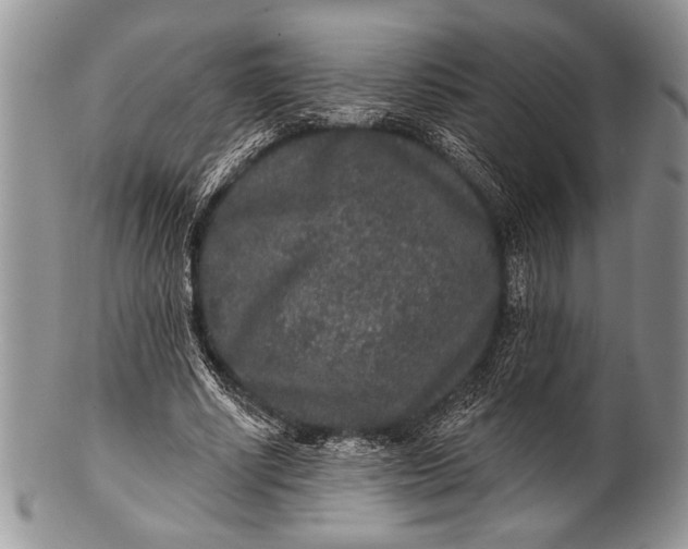 X0000100360634200806201605