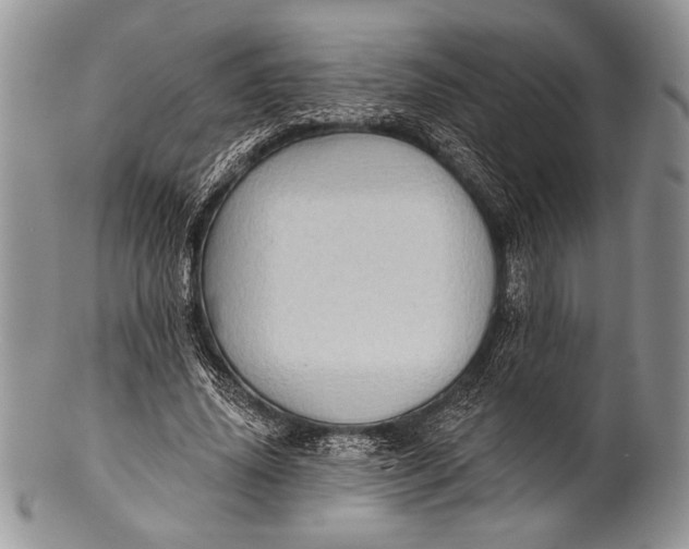 X0000100360636200806201605