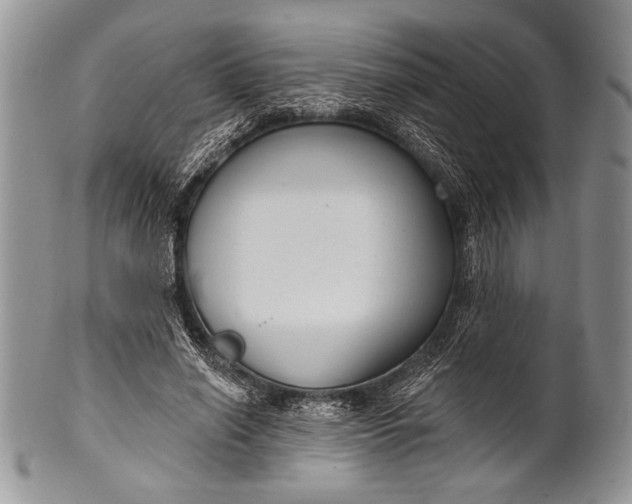 X0000100360638200806201605