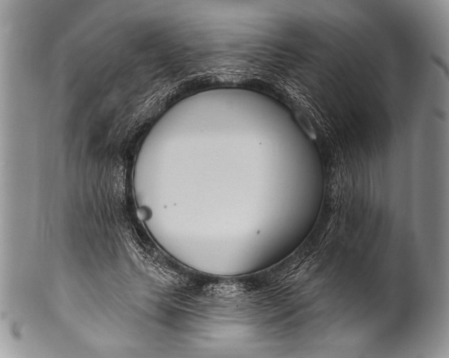 X0000100360639200806201605