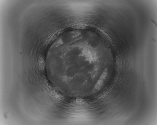 X0000100360641200806201605