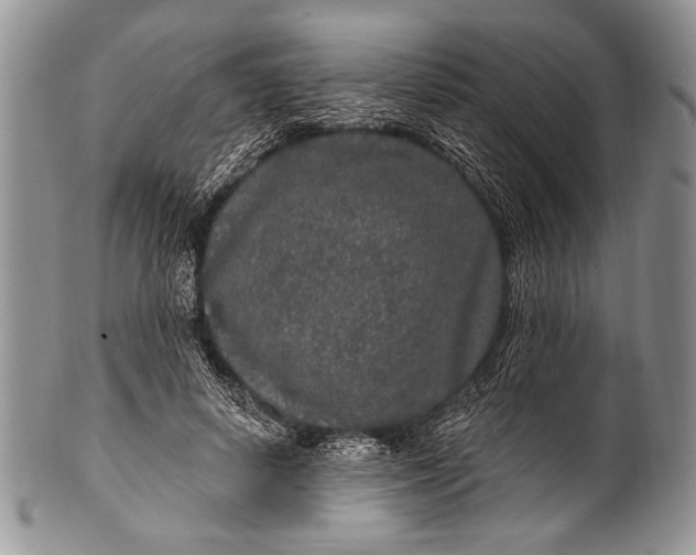 X0000100360642200806201605