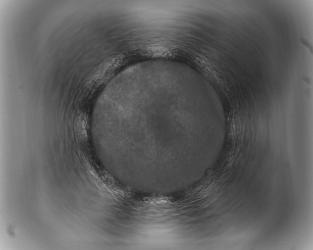 X0000100360643200806201605