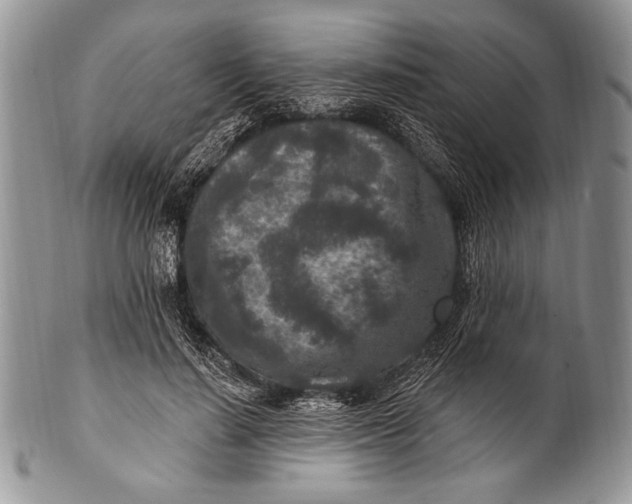 X0000100360644200806201605