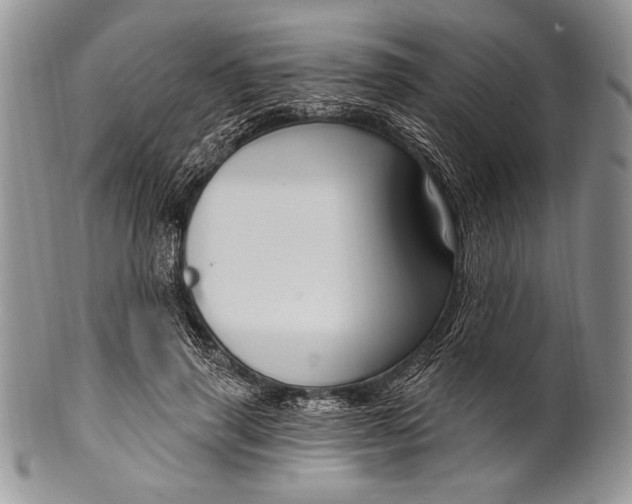 X0000100360645200806201605