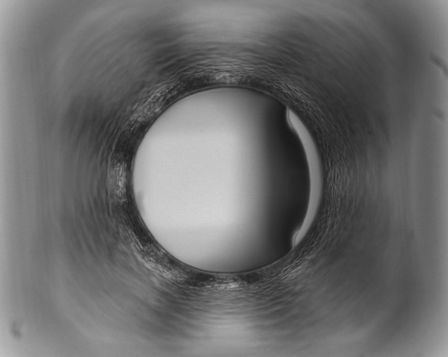 X0000100360646200806201605