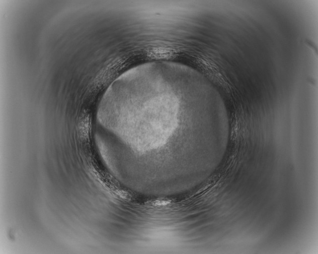 X0000100360647200806201605