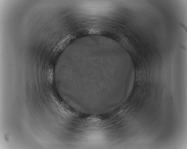 X0000100360648200806201605