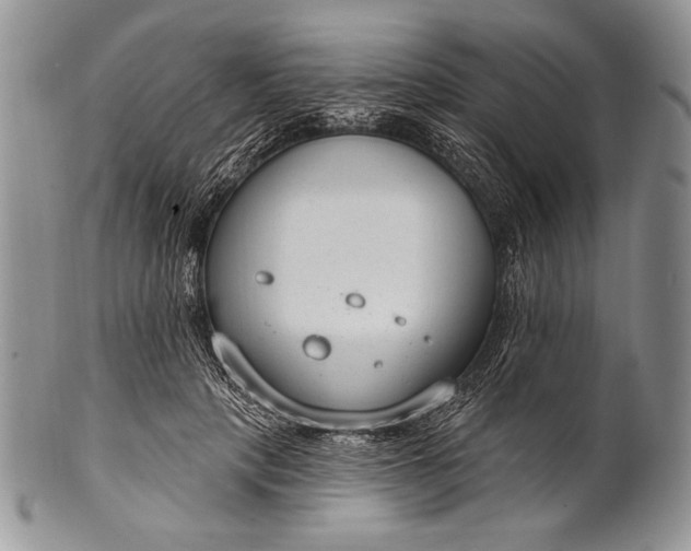 X0000100360649200806201605