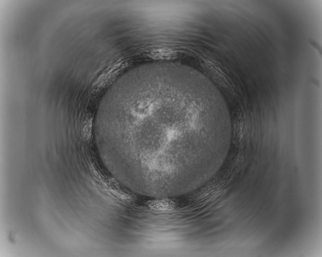 X0000100360652200806201606