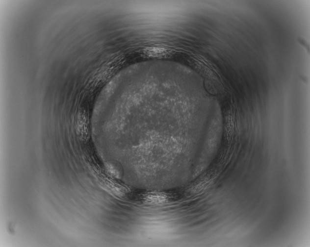 X0000100360653200806201606