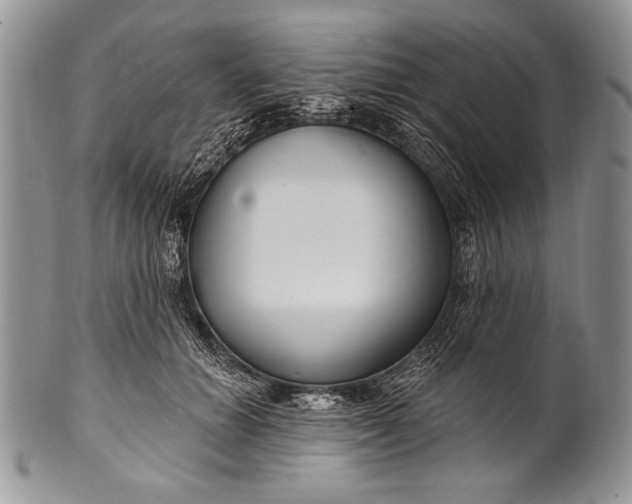 X0000100360654200806201606